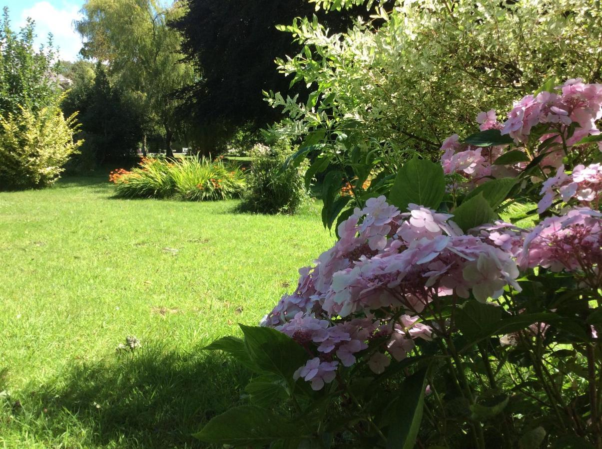 Bed and Breakfast Au Fil Du Crembreux Marquise Exterior foto